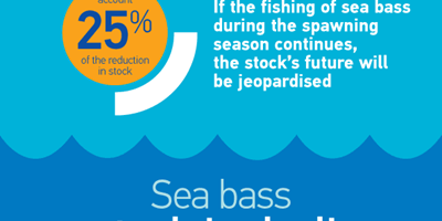 Protecting sea bass poster.png